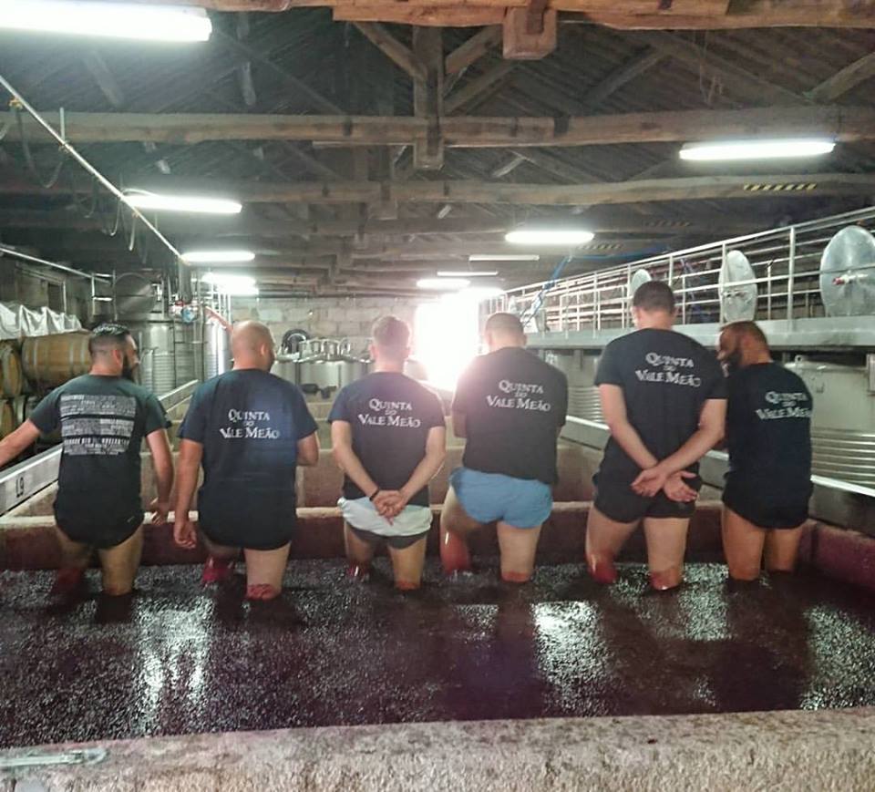 Enoturismo en Portugal, visitamos Quinta Do Vale Meão Enoturismo en Portugal, visitamos Quinta Do Vale Meão