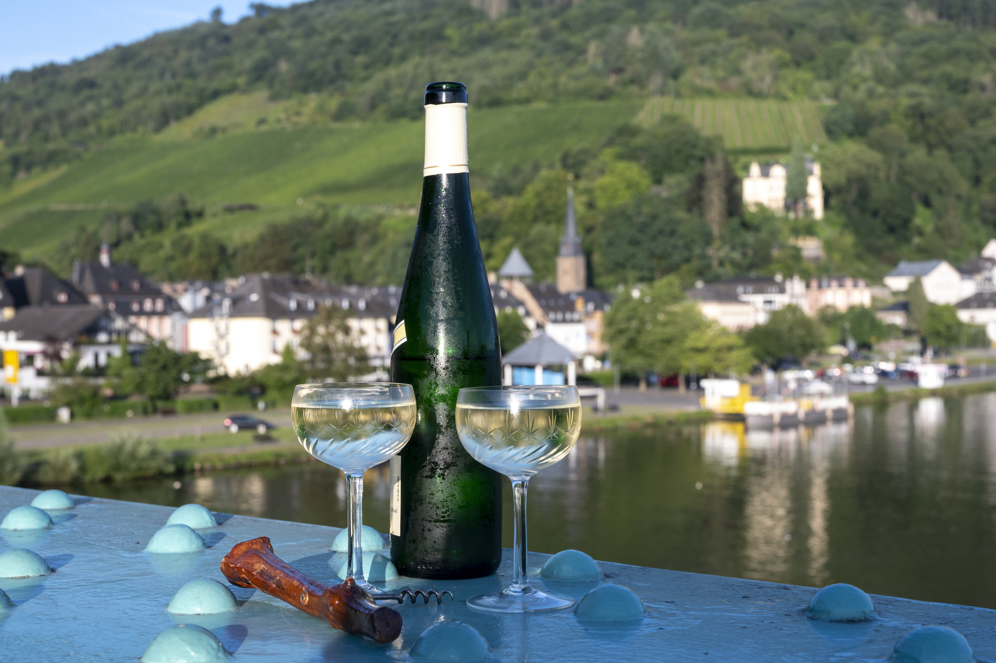 mejores vinos del mundo por la varietal con la que se elabora mejores vinos del mundo por la varietal con la que se elabora