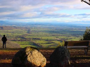 Las grandes rutas del vino del mundo (XIII): Barossa Valley, el Shiraz más antiguo del mundo 