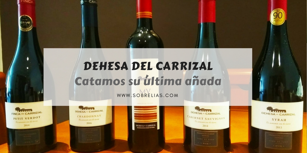 Cata de la nueva añada de Dehesa del Carrizal Cata de la nueva añada de Dehesa del Carrizal
