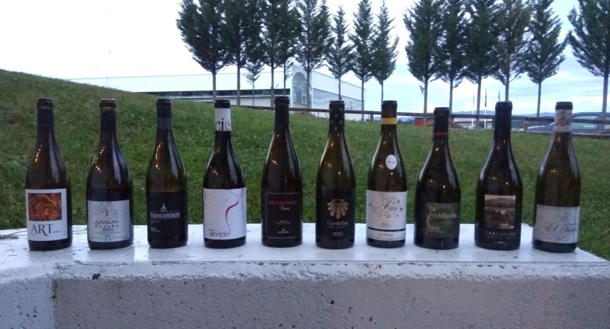 Los vinos de El Bierzo que reflejan a la perfección la esencia de su 'terruño'