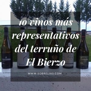 Proyectos que abanderan el vino de El Bierzo desde sus inicios