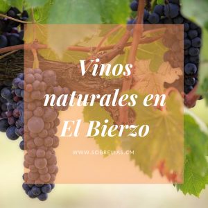 Proyectos que abanderan el vino de El Bierzo desde sus inicios