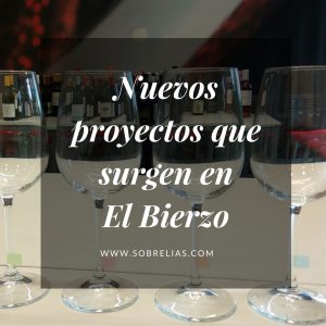 Proyectos que abanderan el vino de El Bierzo desde sus inicios