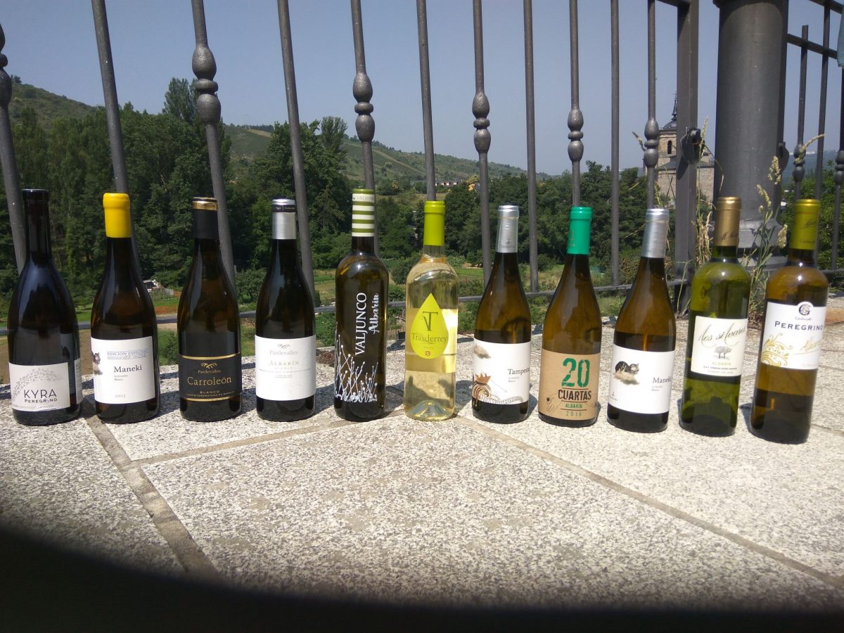 Cata de vinos blancos DO Tierra de León Cata de vinos blancos DO Tierra de León