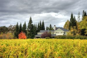 Las grandes rutas del vino del mundo (XV): Napa Valley y Sonoma: Glamour, historia y Cabernet