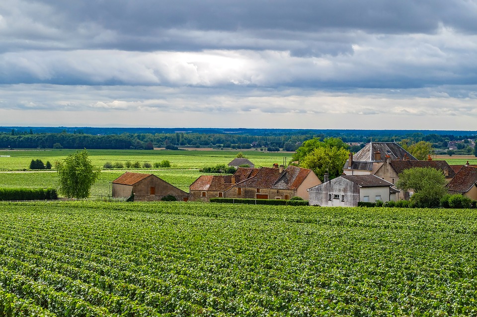 Precios de la hectárea de viñedo en diferentes zonas de Francia