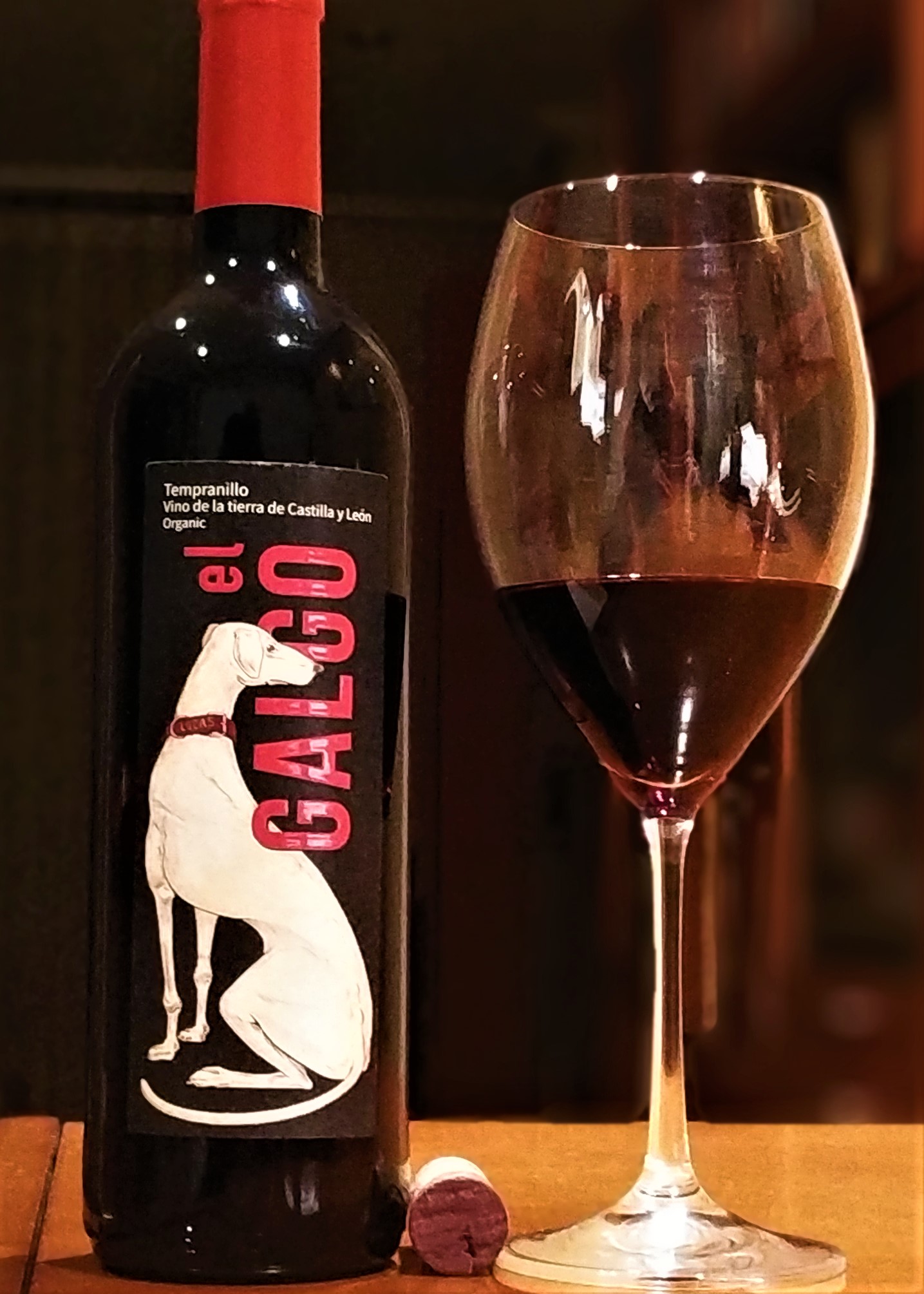 El Galgo 2017 El Galgo 2017