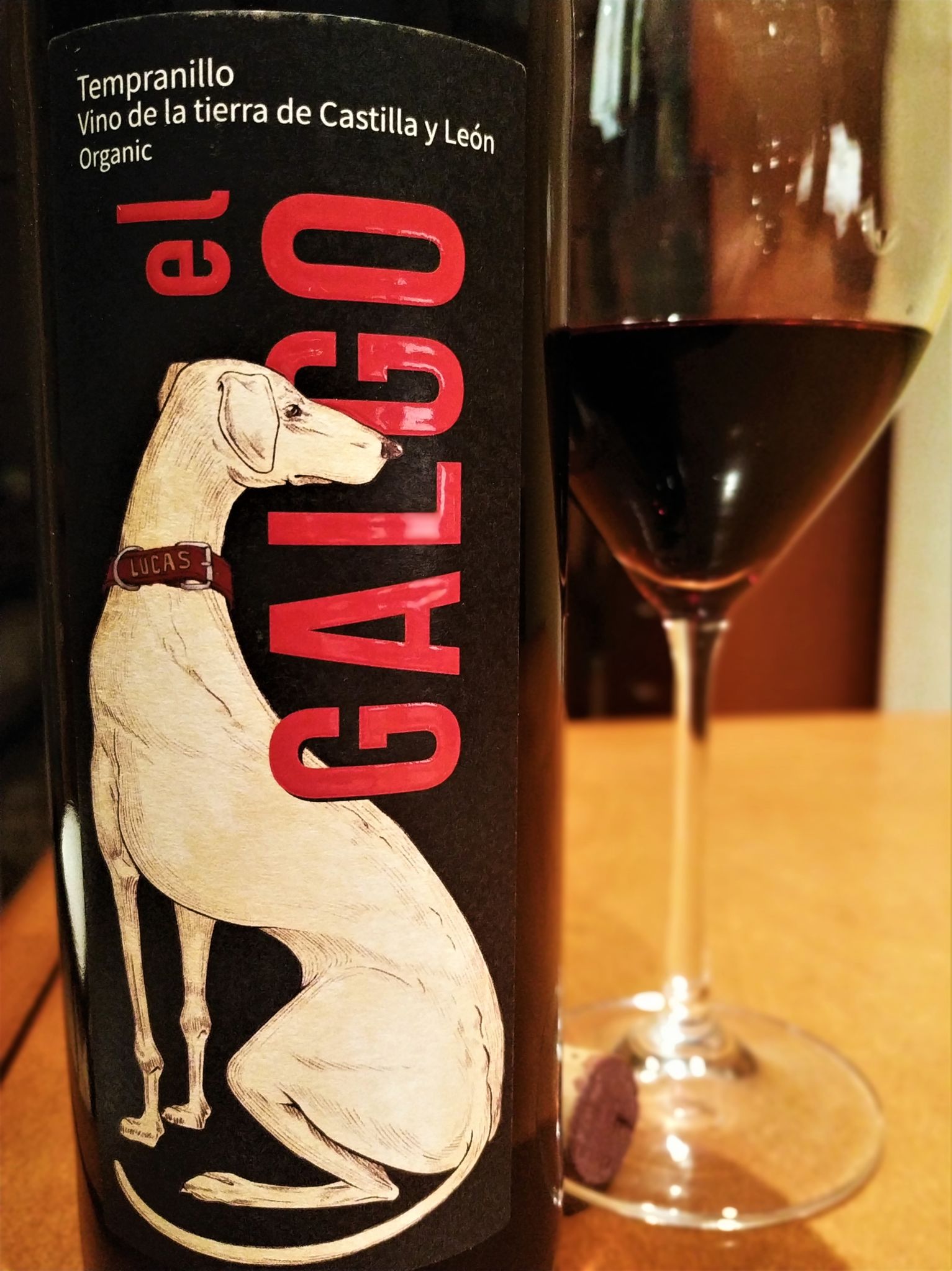 El Galgo 2017 El Galgo 2017