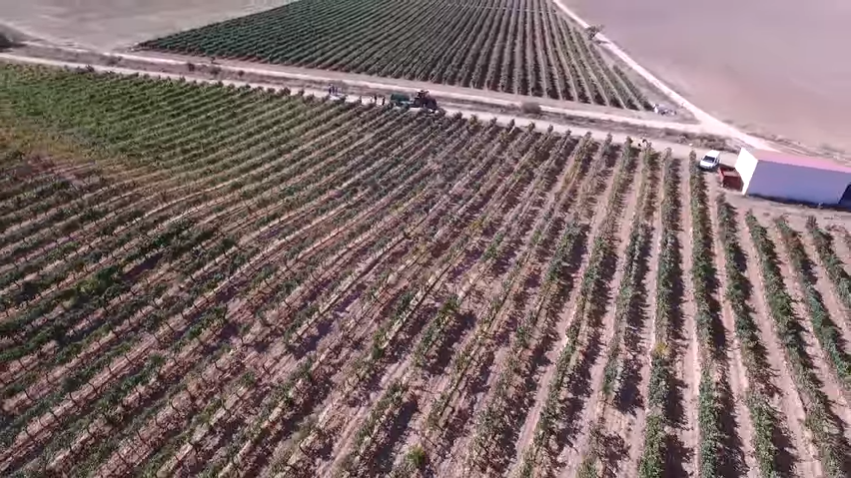 41Norte Boutique Winery & Vineyards