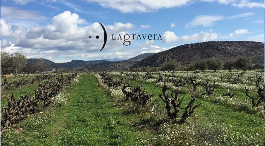 Viñedo de bodegas Lagravera
