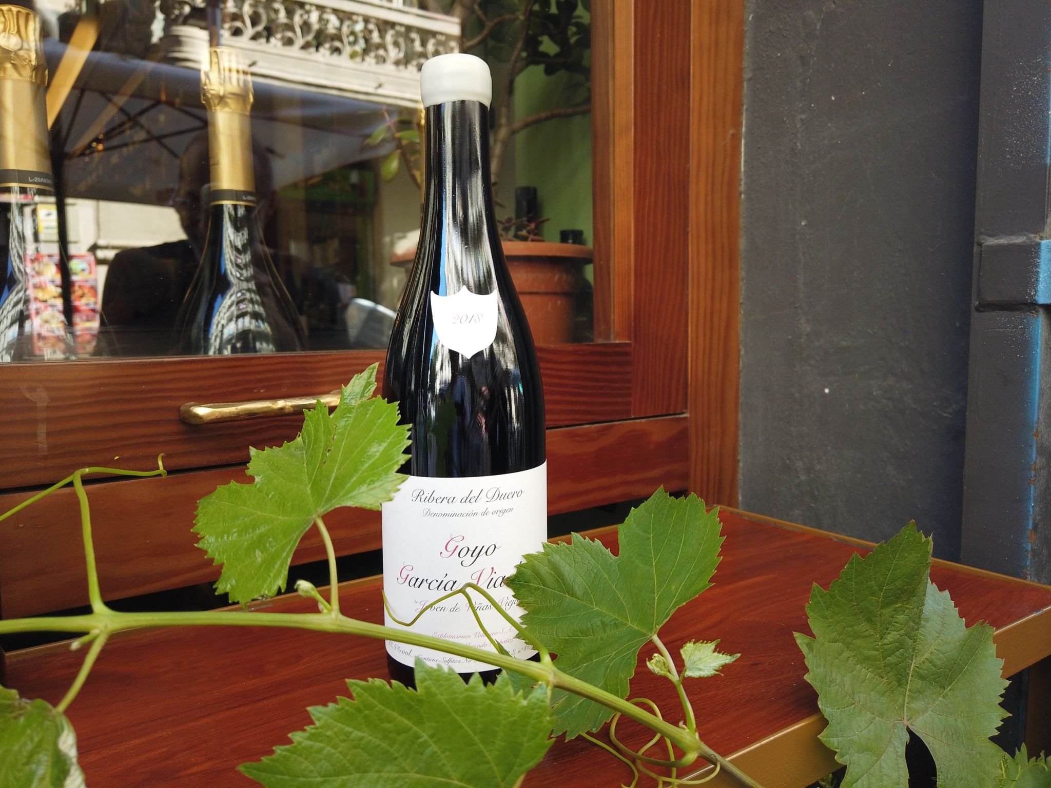 Goyo Garcia Viadero Joven de Viñas Viejas 2018