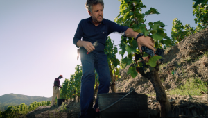 Las grandes rutas del vino del mundo (XI): «El Priorat, la joya escondida de Cataluña»