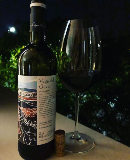 Vega del Geva Crianza 2015