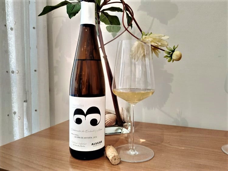 3 Miradas Viña de Antoñin