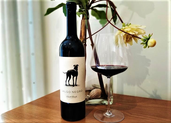 Galgo Negro Prieto Picudo