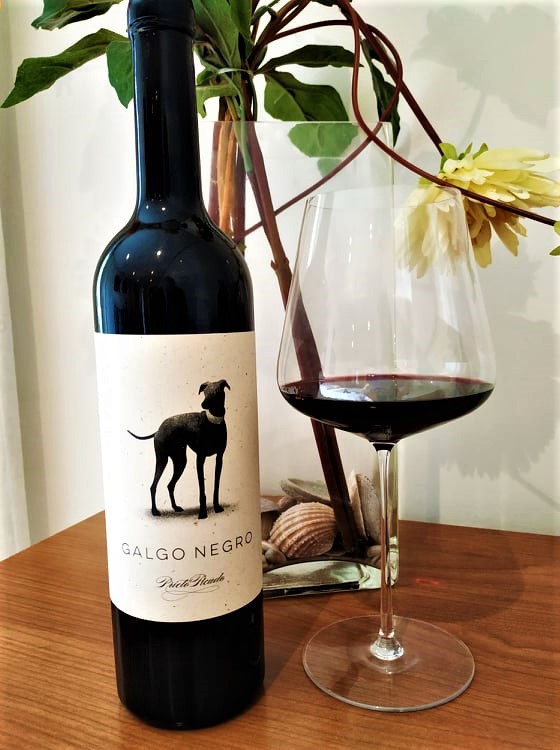 Galgo Negro Prieto Picudo