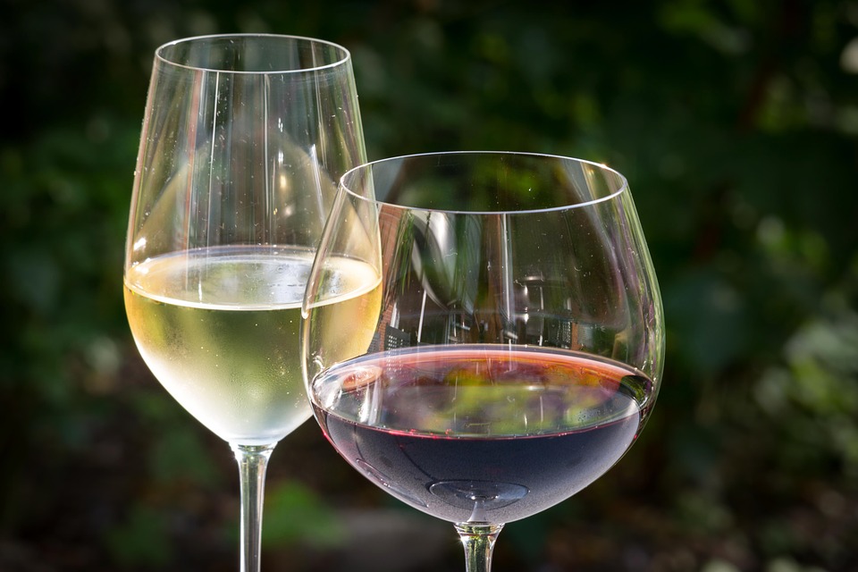 Diferencias entre de vino tinto vino blanco Sobrelias