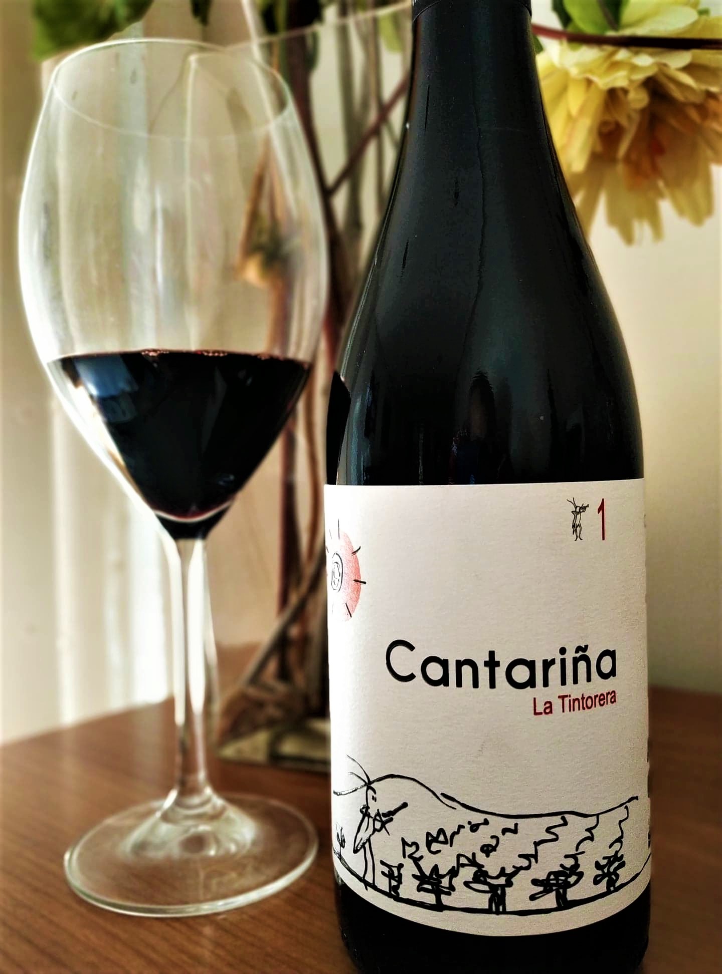 Cantariña 1 La Tintorera 2016