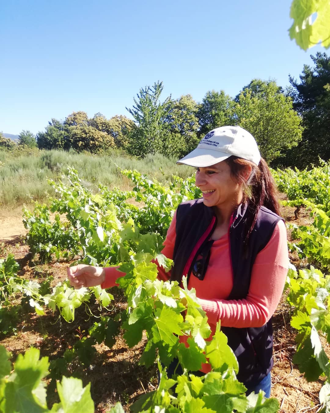 El Bierzo en femenino El Bierzo en femenino