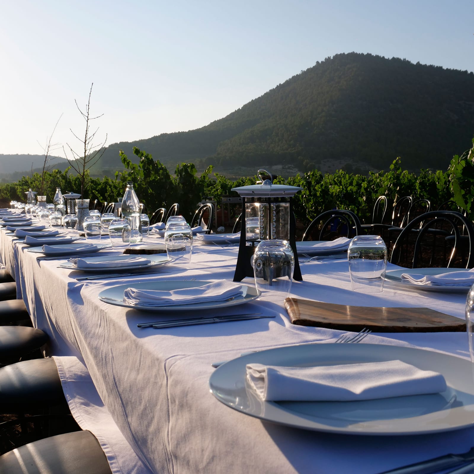 Mesa preparada para recibir enoturistas en Bodegas Balcona