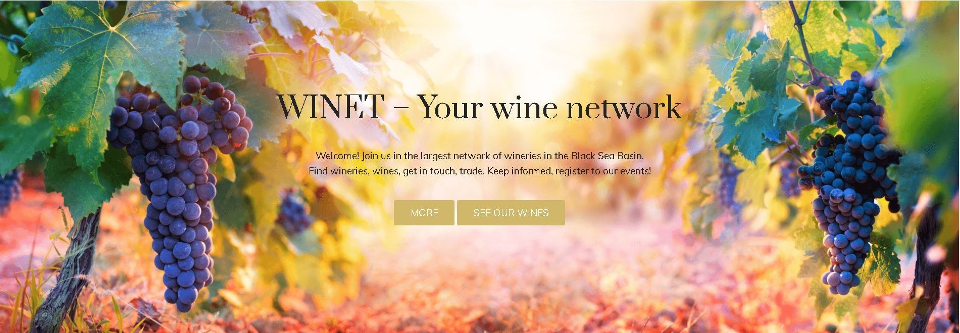 plataforma online WINET plataforma online WINET