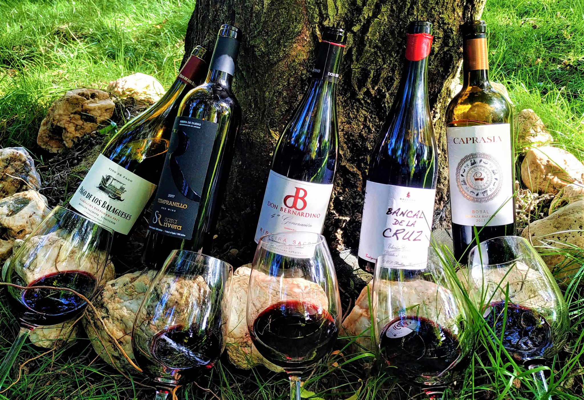 vinos tintos españoles de 2017 vinos tintos españoles de 2017