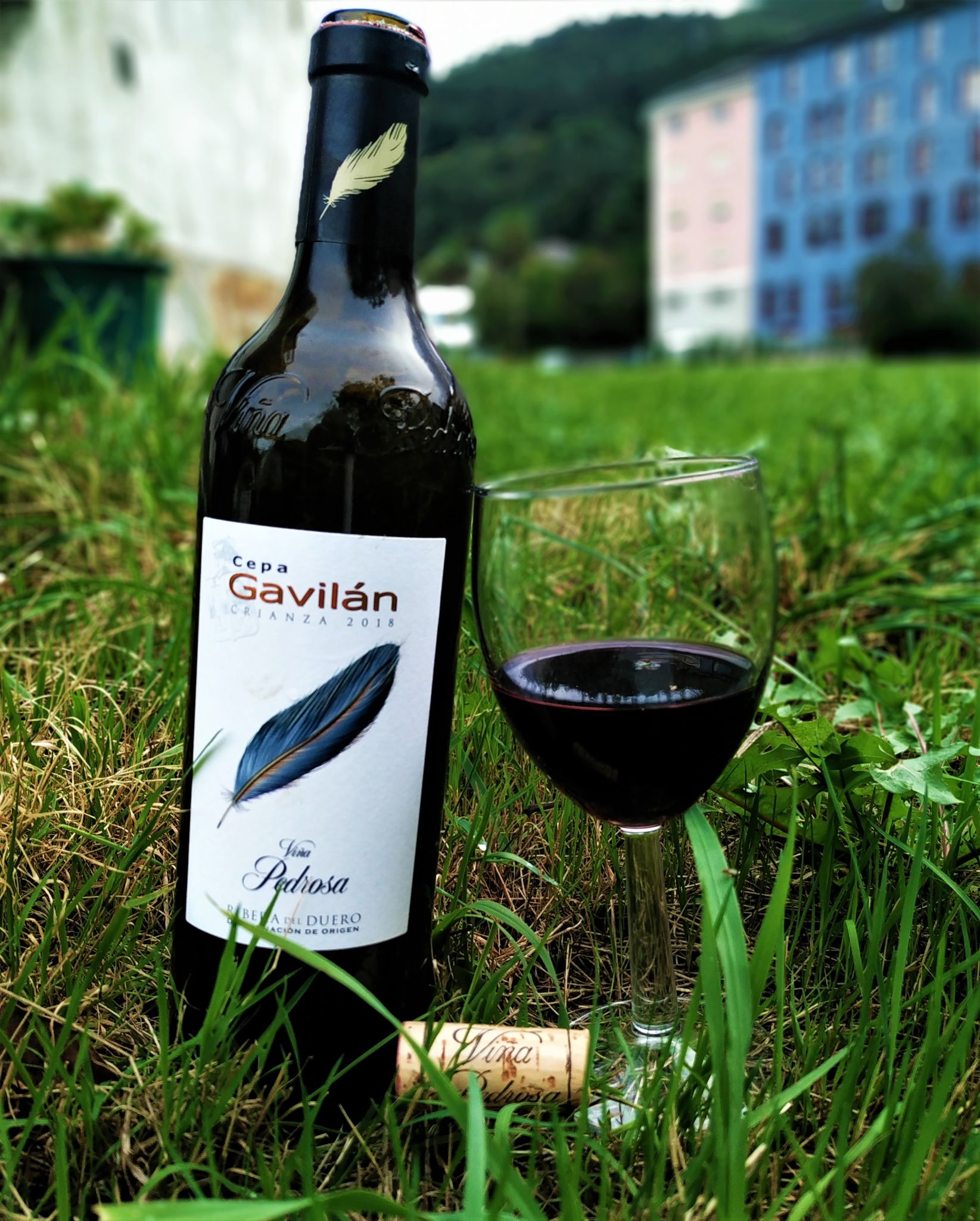 Cepa Gavilán Crianza 2018