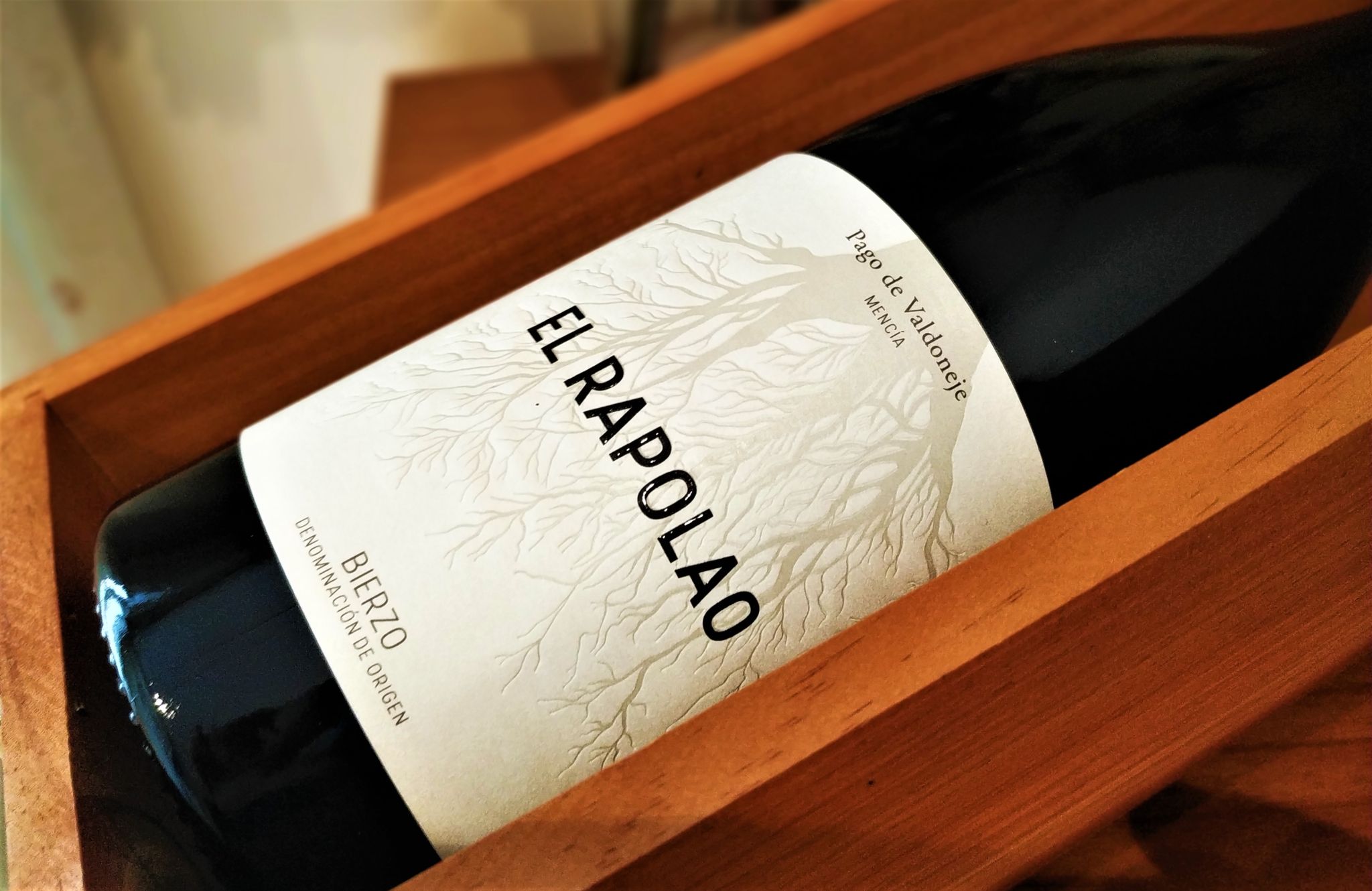 El Rapolao 2019 El Rapolao 2019