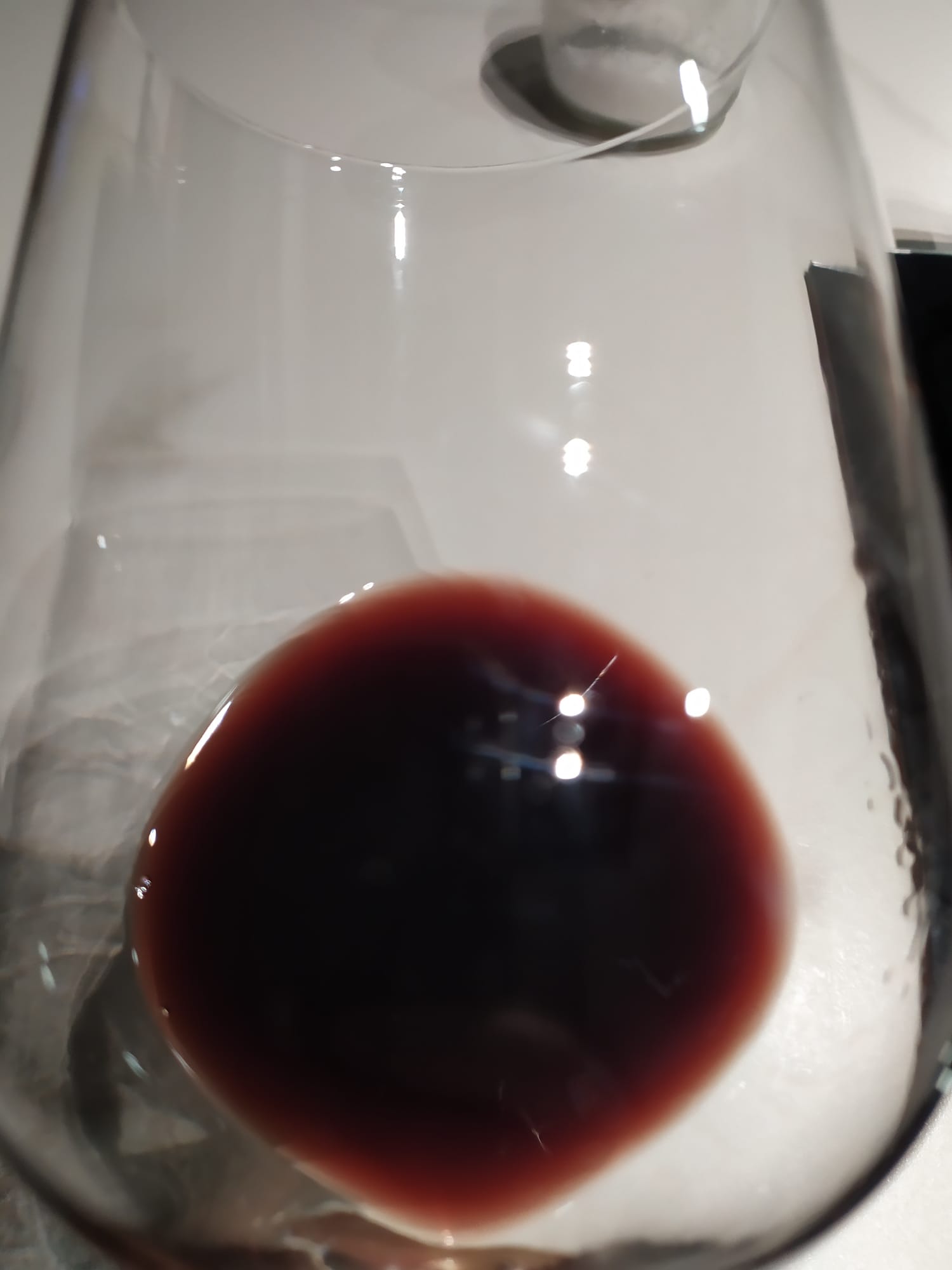 Pujanza 2008