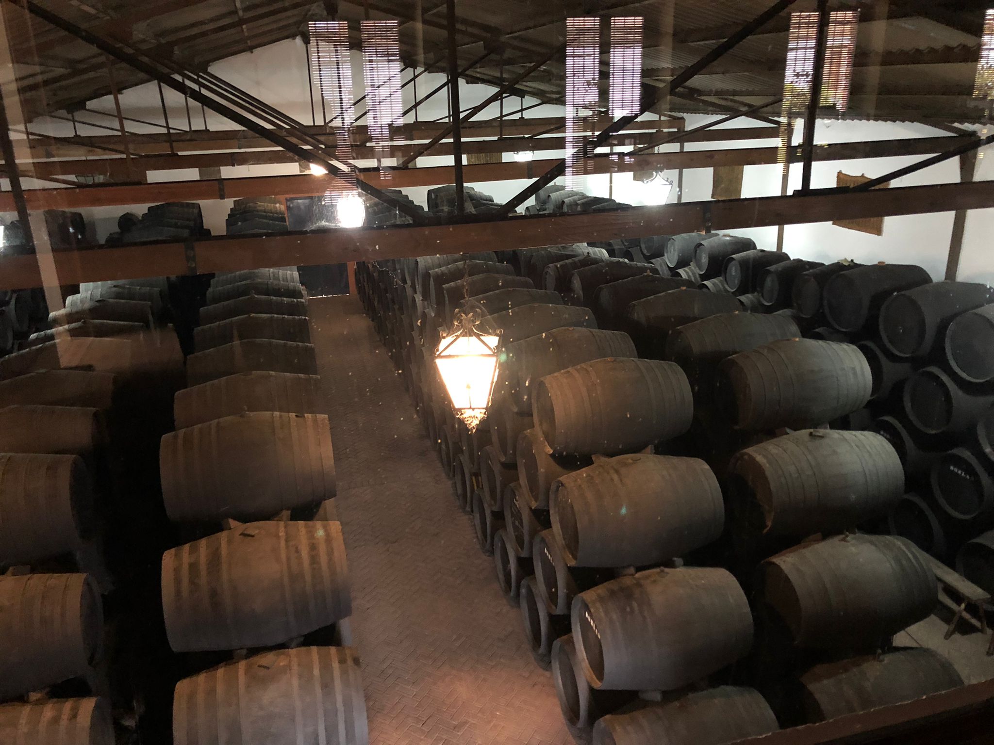Bodegas Doblas Bodegas Doblas