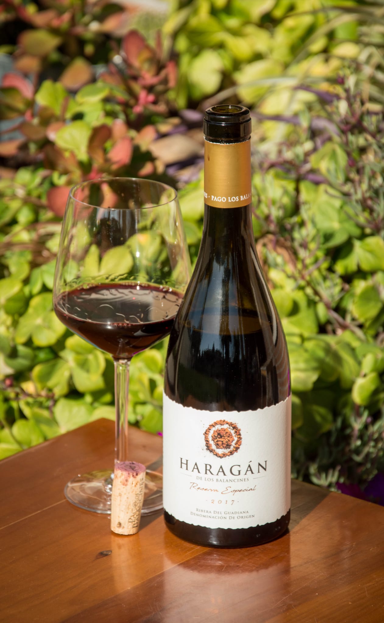 Haragán 2017 Haragán 2017