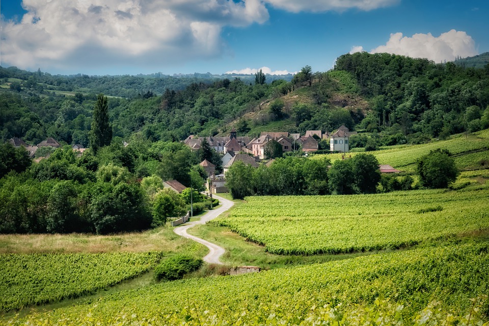 Borgoña, la zona del mundo con mayor presencia en el mercado secundario de vinos premium