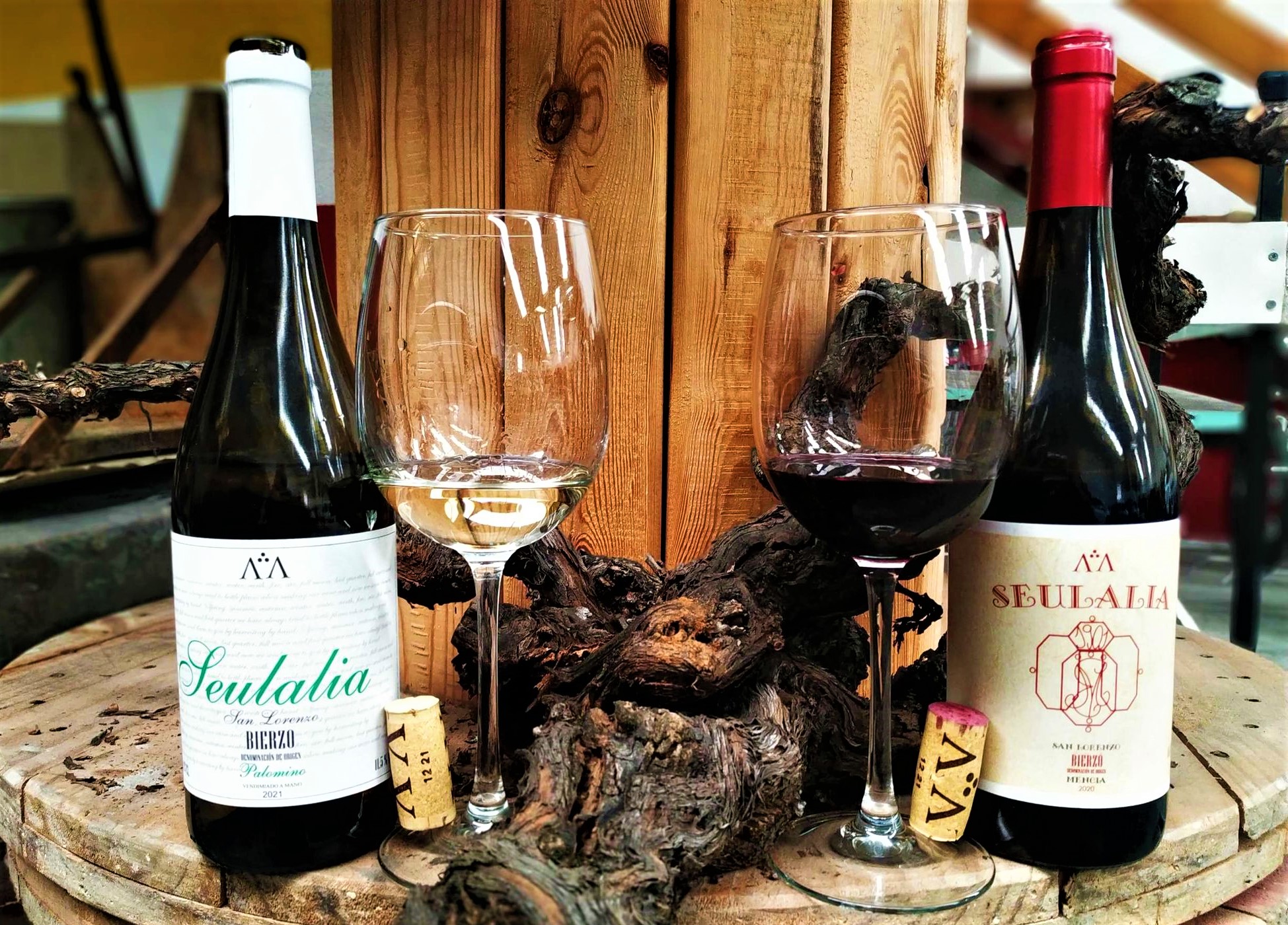 Bodegas y Viñedos Anselmo Álvarez Bodegas y Viñedos Anselmo Álvarez