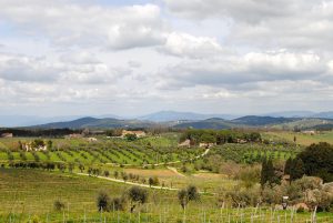 Chianti, famous and yet unknown. A journey through the history and ancestral origins of these super wines