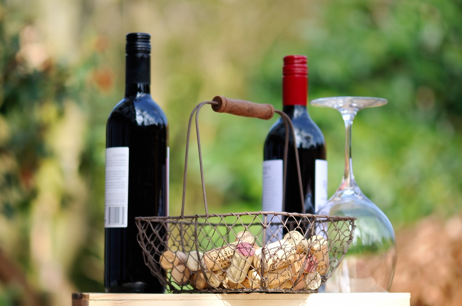 Los mejores consejos para la cata de vinos