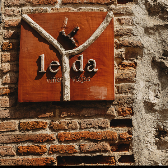 Bodega Leda Bodega Leda