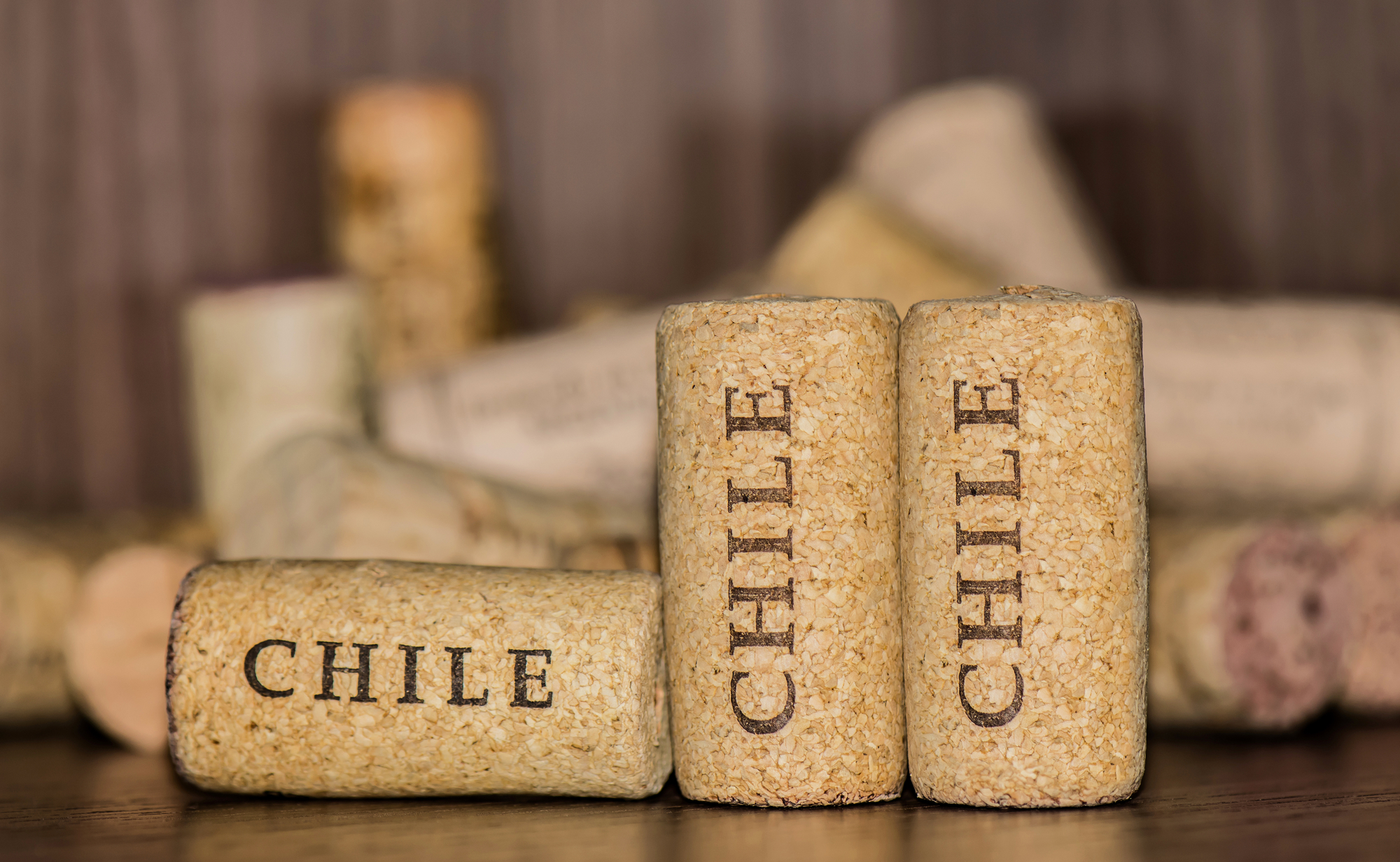 Vinos de chile Vinos de chile
