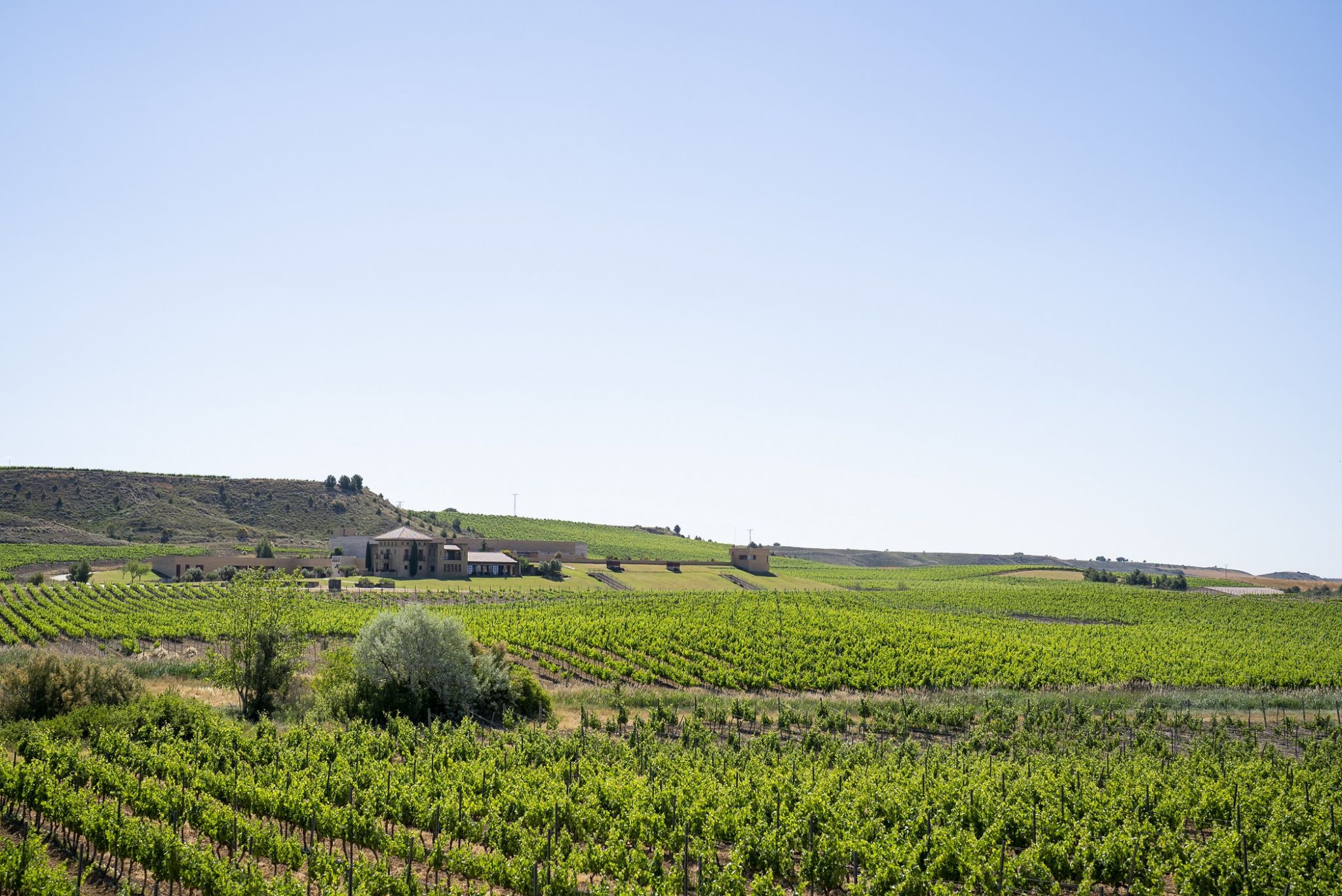 Pagos de Araiz obtiene la ISO 14001