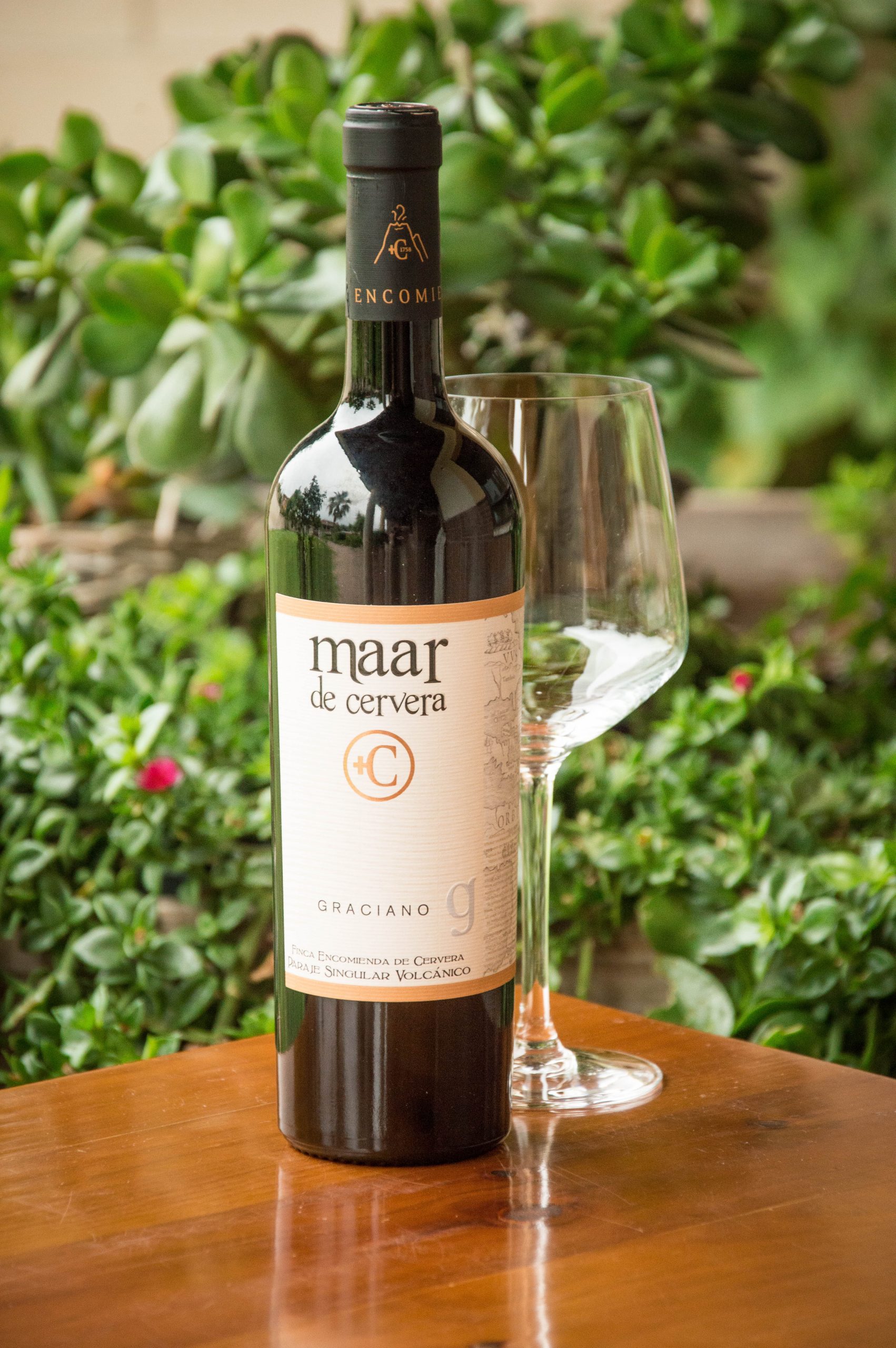 Maar de Cervera Graciano 2018 Maar de Cervera Graciano 2018