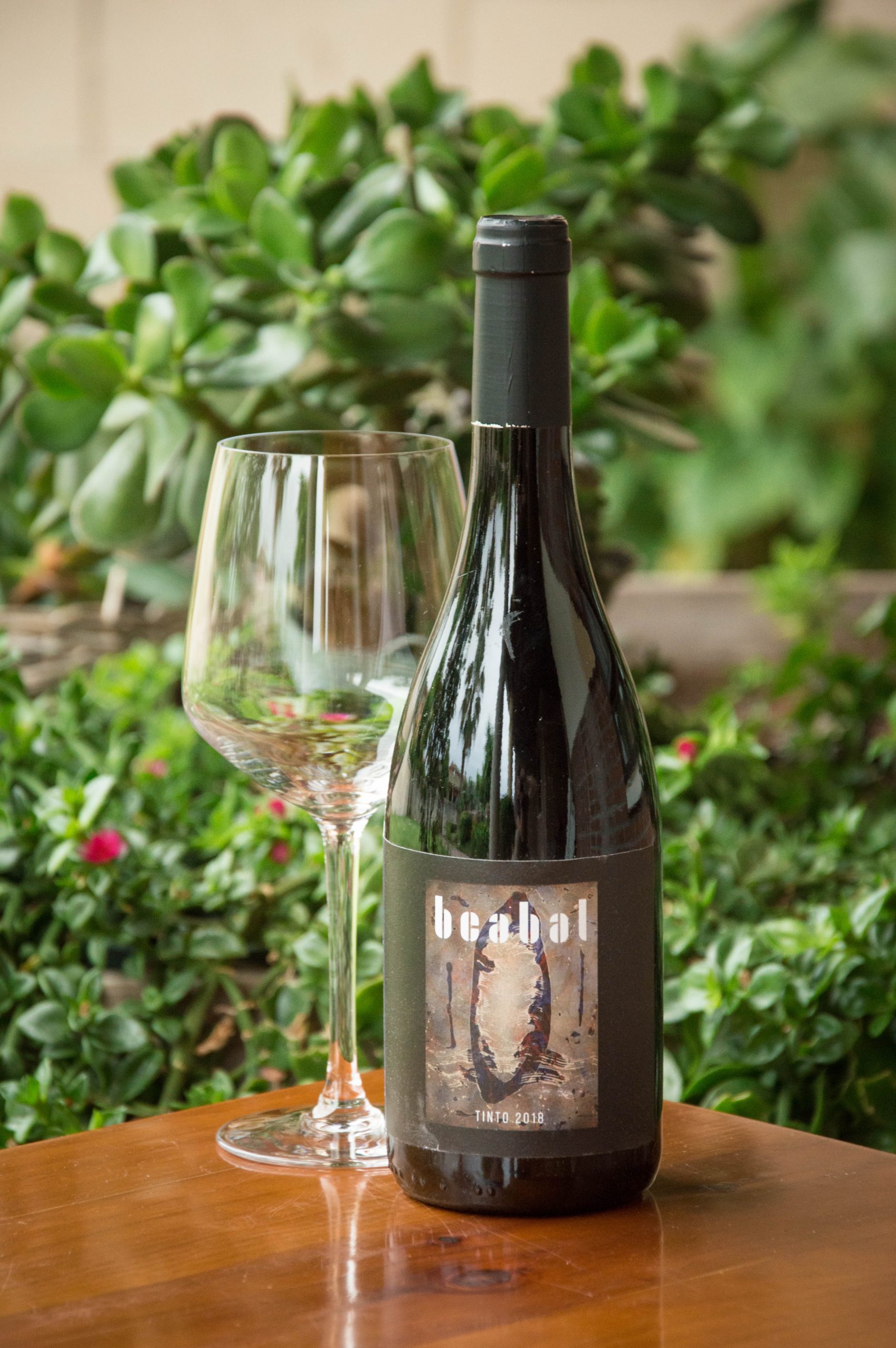 Bcabal Tinto Garnacha 2018 Bcabal Tinto Garnacha 2018