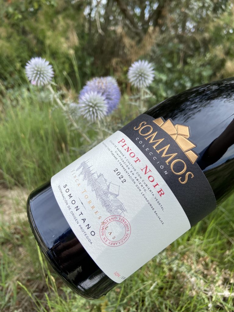 2022 SOMMOS Colección Pinot Noir 2022 SOMMOS Colección Pinot Noir