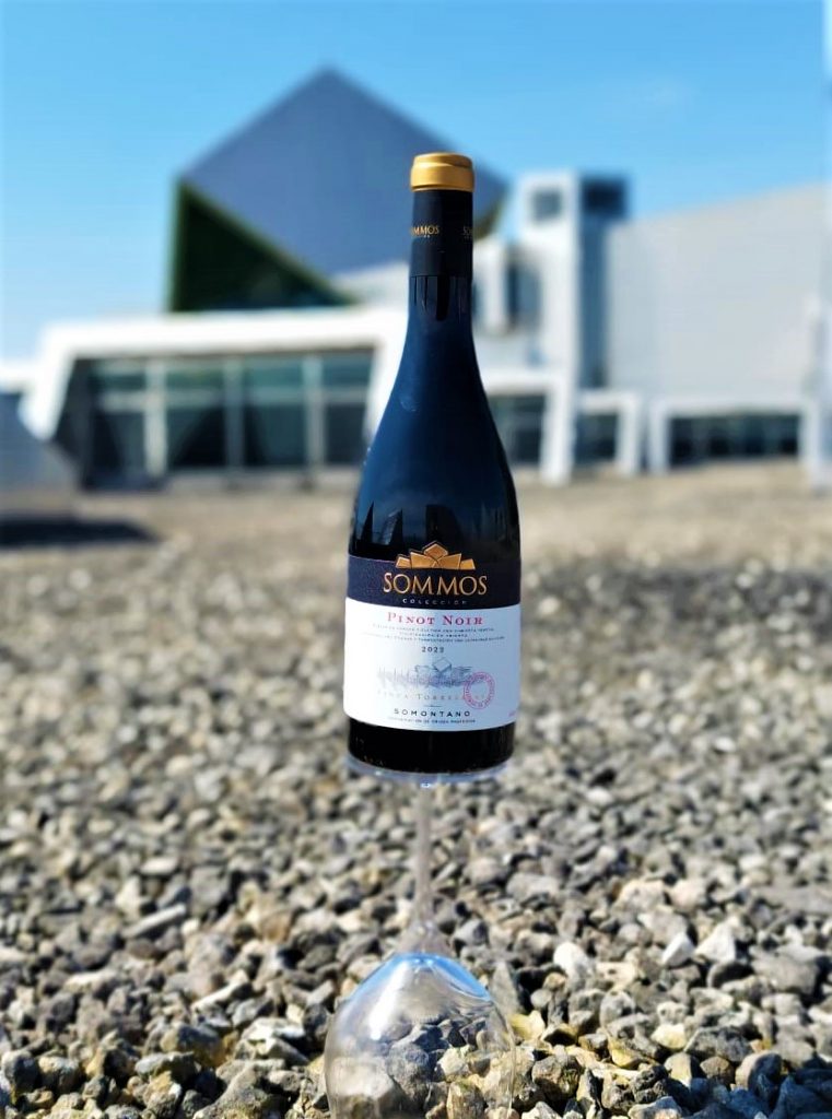 2022 SOMMOS Colección Pinot Noir 2022 SOMMOS Colección Pinot Noir