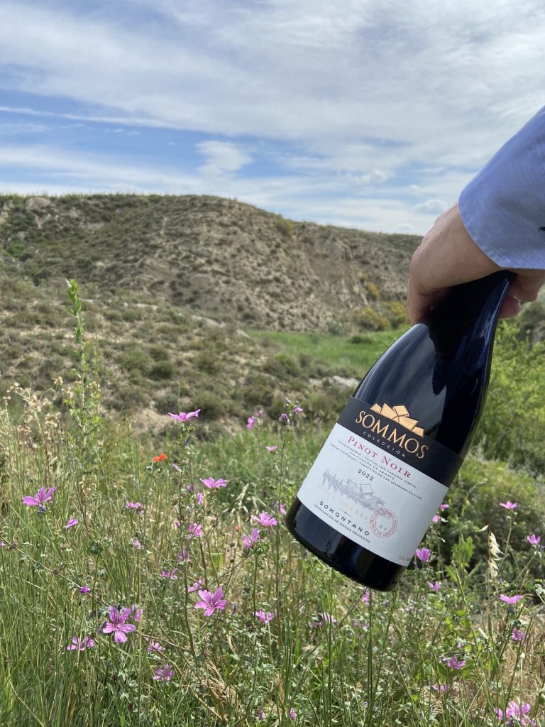 2022 SOMMOS Colección Pinot Noir 2022 SOMMOS Colección Pinot Noir