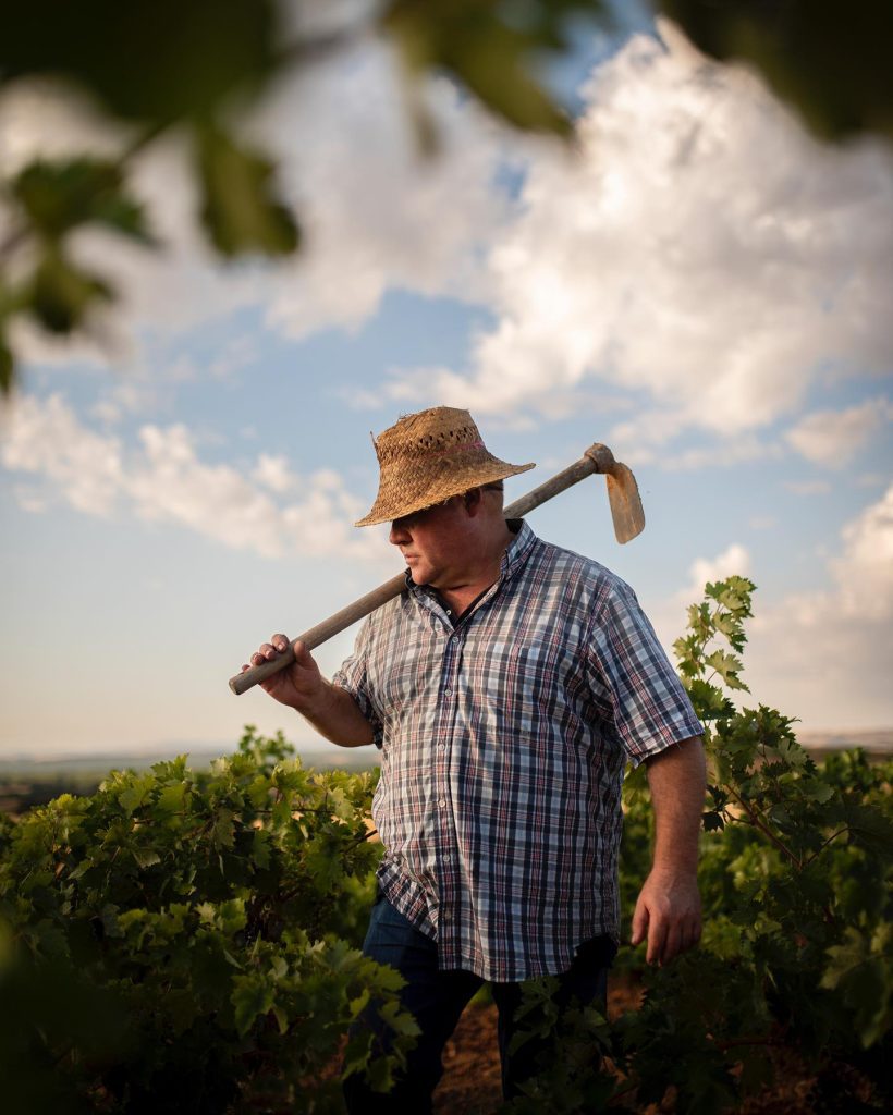 Bodegas Hermanos Sastre