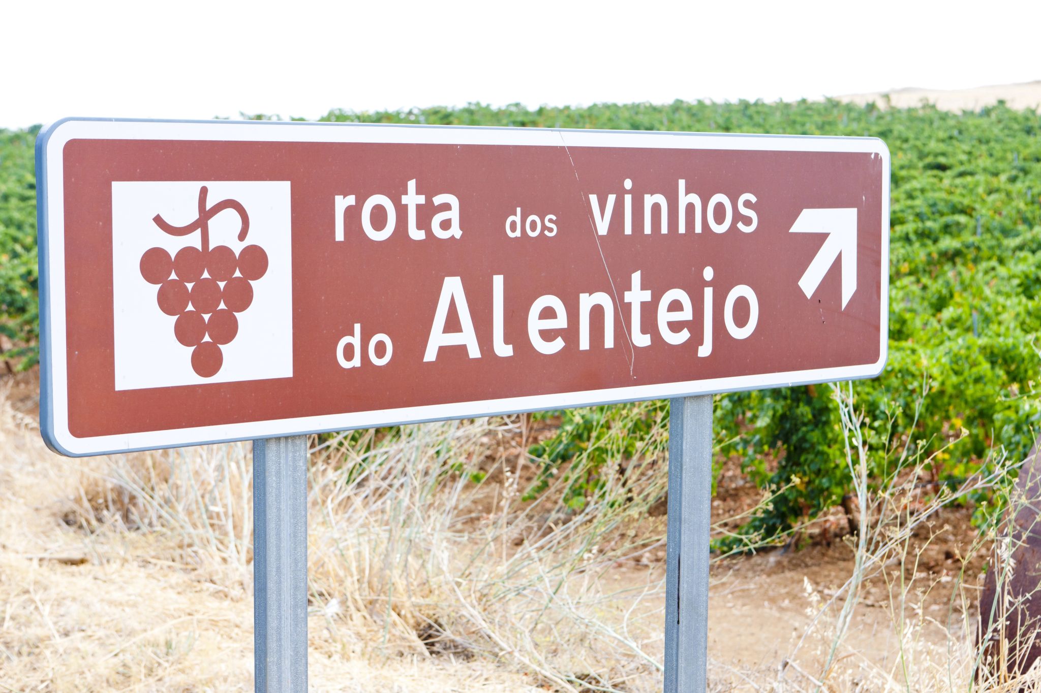 Enoturismo en Alentejo Enoturismo en Alentejo
