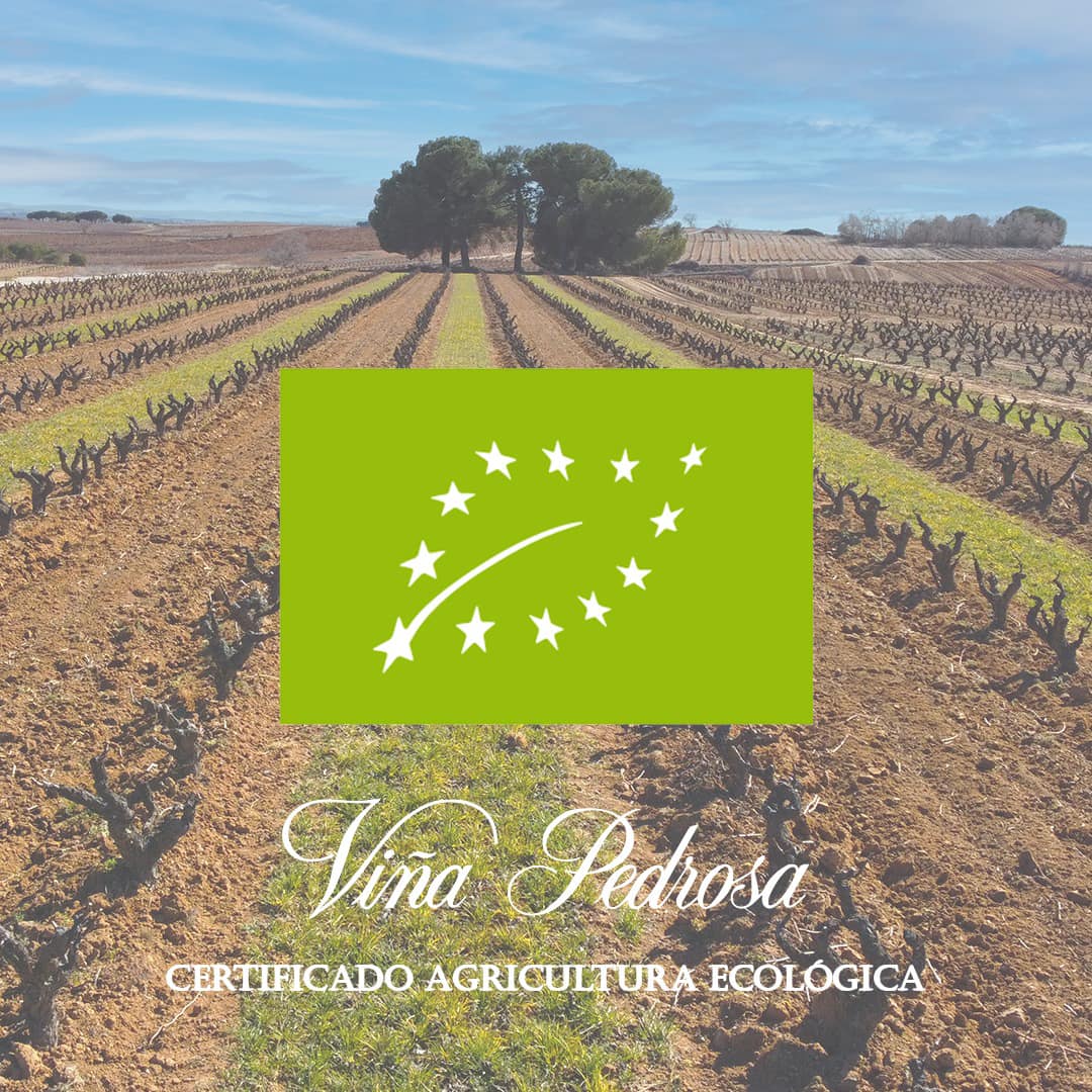 Bodegas Hnos. Pérez Pascuas