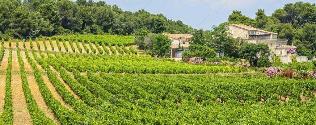 región vinícola de Languedoc-Rosellón región vinícola de Languedoc-Rosellón