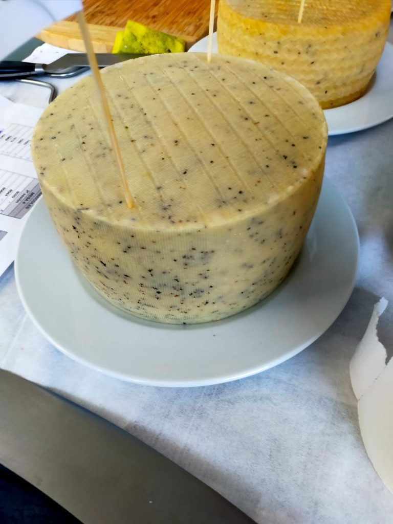 Mejor Queso de España