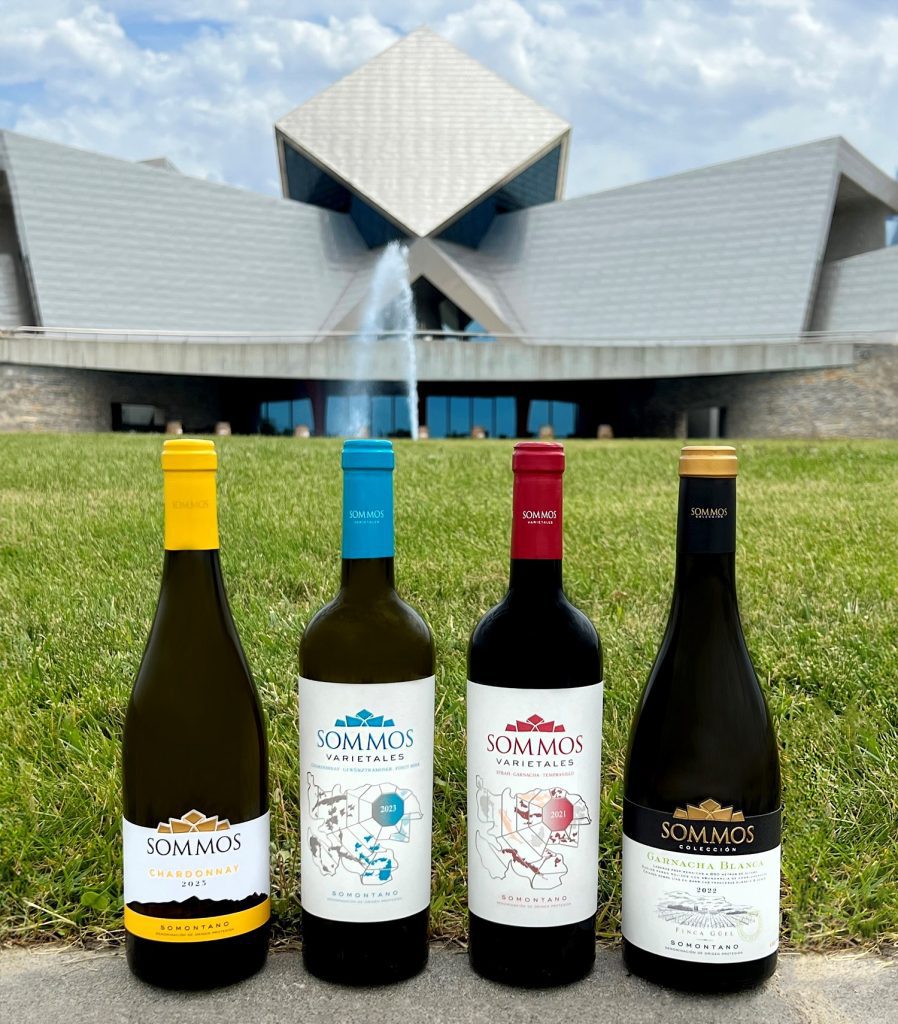 Distintas botellas de vino tinto, blanco, rosado y espumoso alineadas sobre un campo